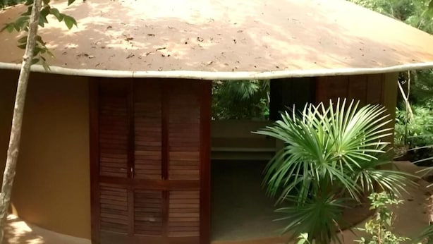 Um edifício térreo com telhado curvo, porta de madeira e pequena varanda com uma planta de palmeira.
