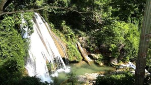 Una cascada rodeada de abundante vegetación.