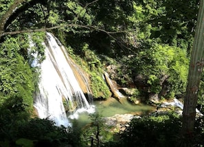 Una cascada rodeada de abundante vegetación.