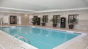 An indoor swimming pool with clear water, surrounded by potted plants and a tiled floor.