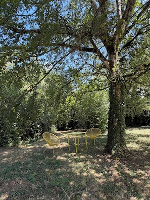 A tree with a table and two chairs underneath. - Country house, garden with trees, 4 km from Fougères (Romagné)