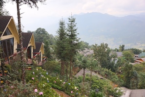 Una zona residencial en una ladera, con casas, un jardín lleno de flores y una montaña al fondo.