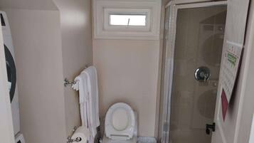 Een badkamer met toilet, douche en raam.