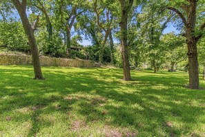 A grassy outdoor area with trees and a stone wall. - 1844 Alsatian Home on the Medina River (Castroville)