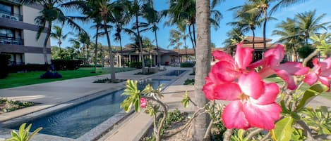 A resort with a pool, palm trees, and a building with balconies.