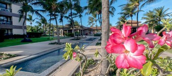 Mandara Lanai #201 Beach Access by Carpediem