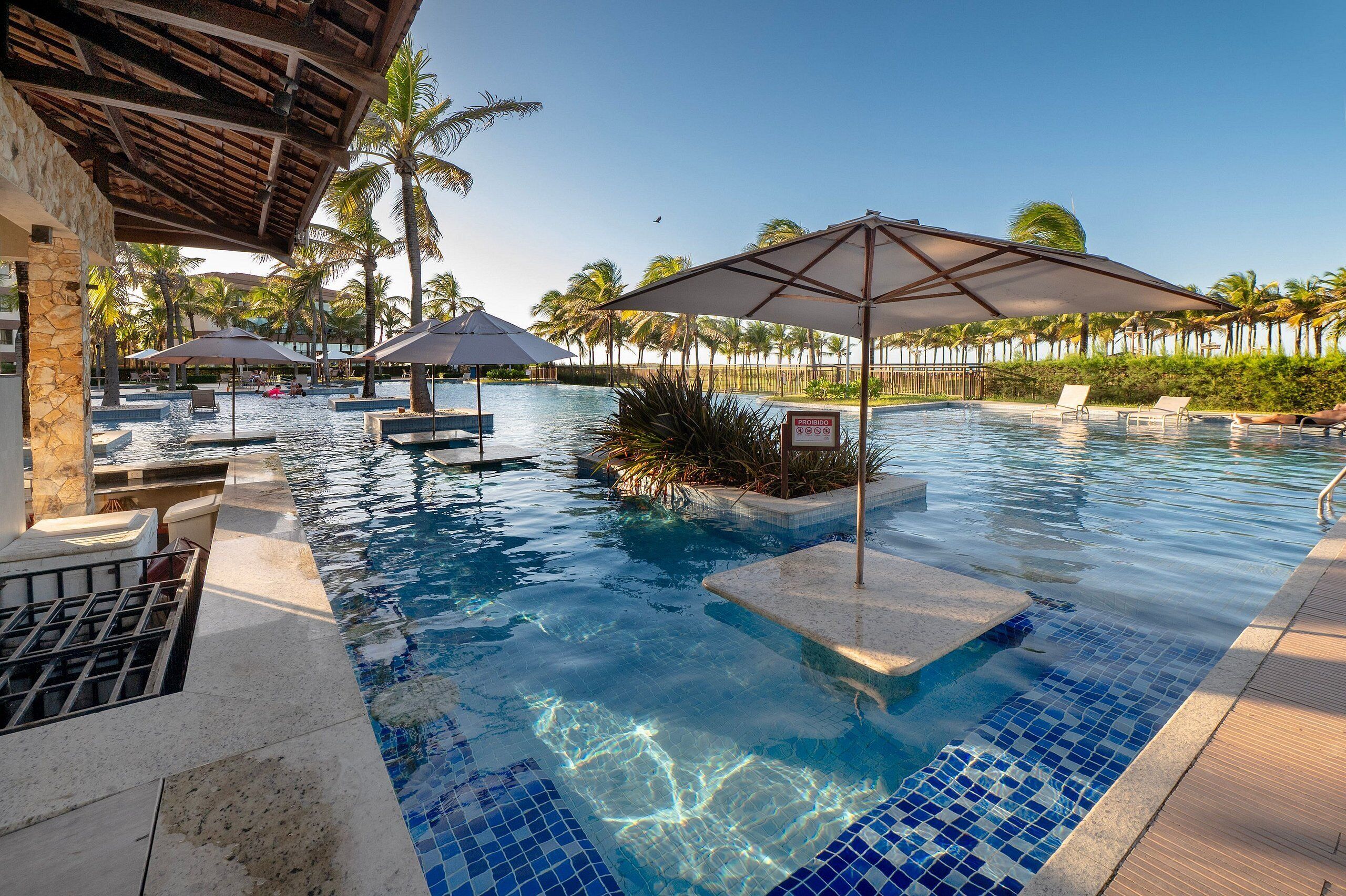 Piscina con sillones de descanso y sombrillas, rodeada de palmeras.