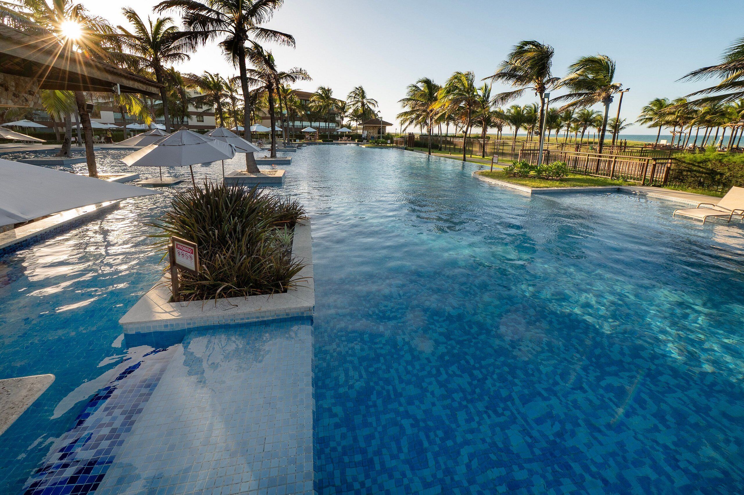 Una piscina con agua azul cristalina, rodeada de palmeras y sillas de descanso.