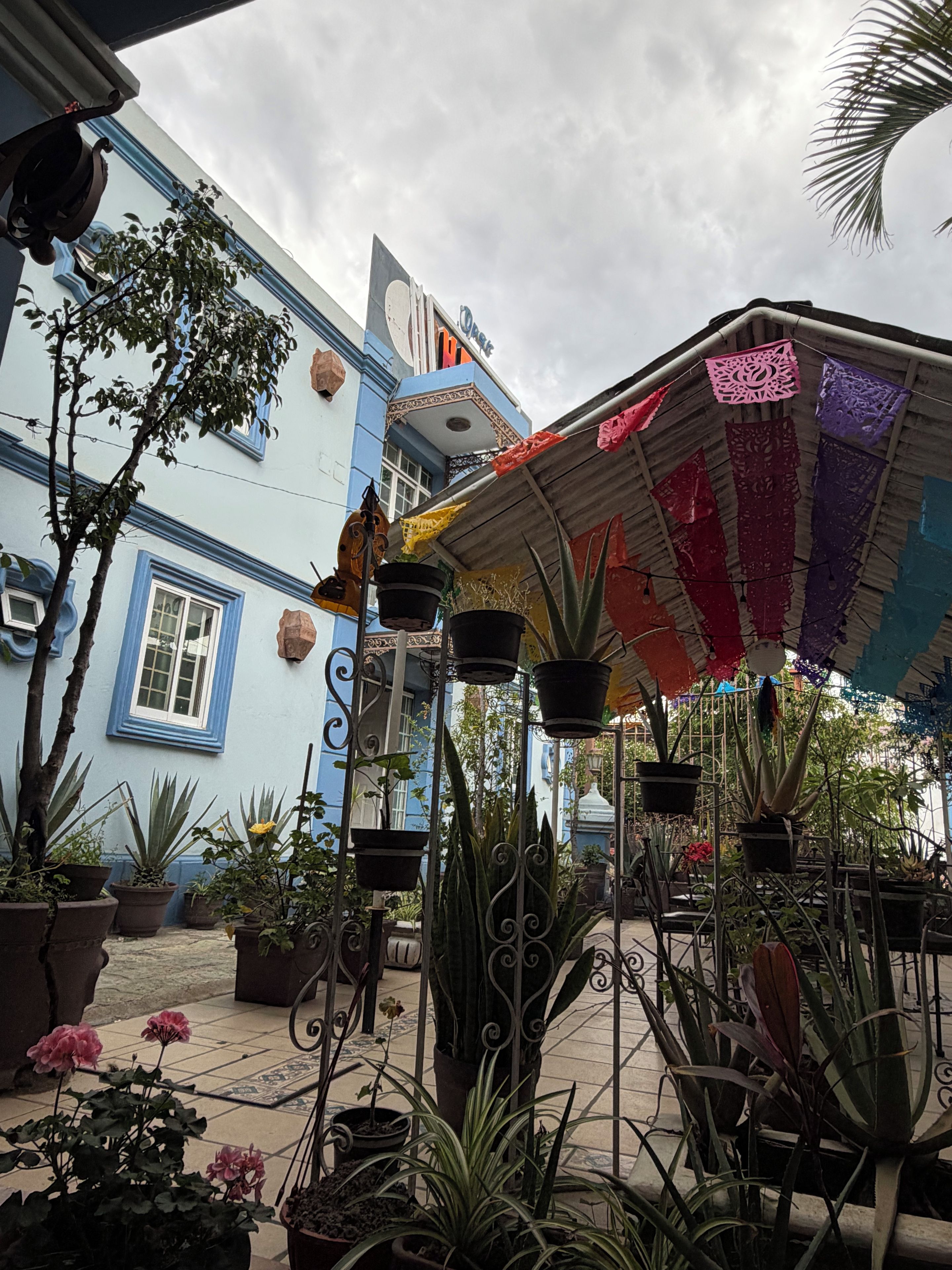 Une cour avec des plantes en pot, un bâtiment bleu et un auvent décoratif.
