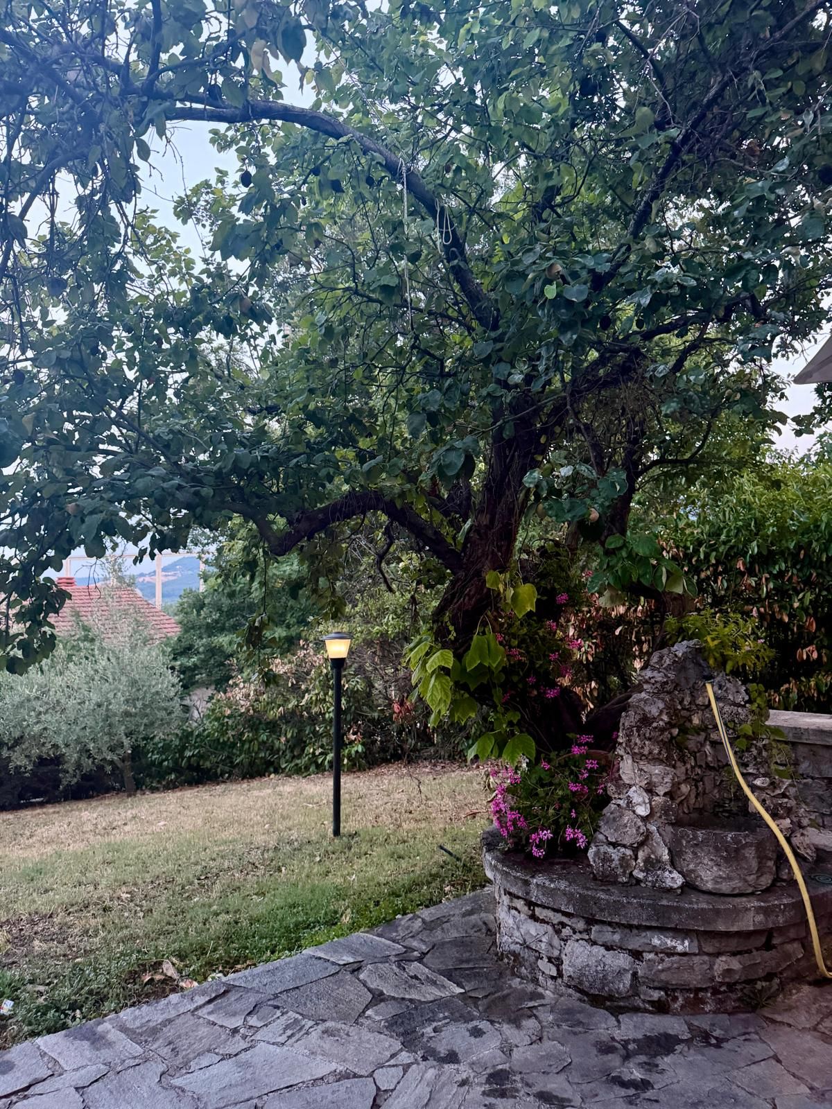 Ein steinbelagter Weg führt zu einem Garten mit einem Baum und einer Steinmauer.