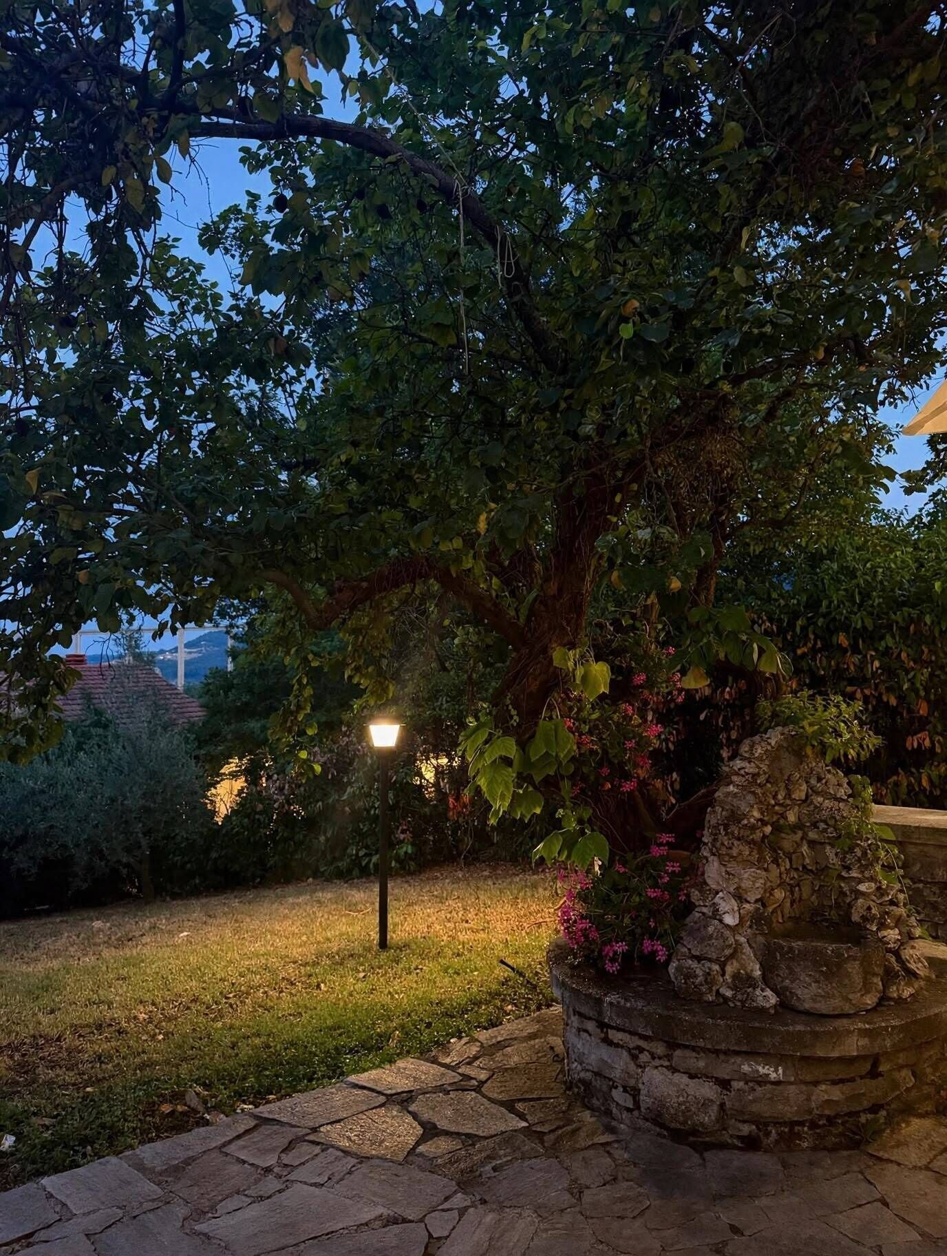 Parco della struttura