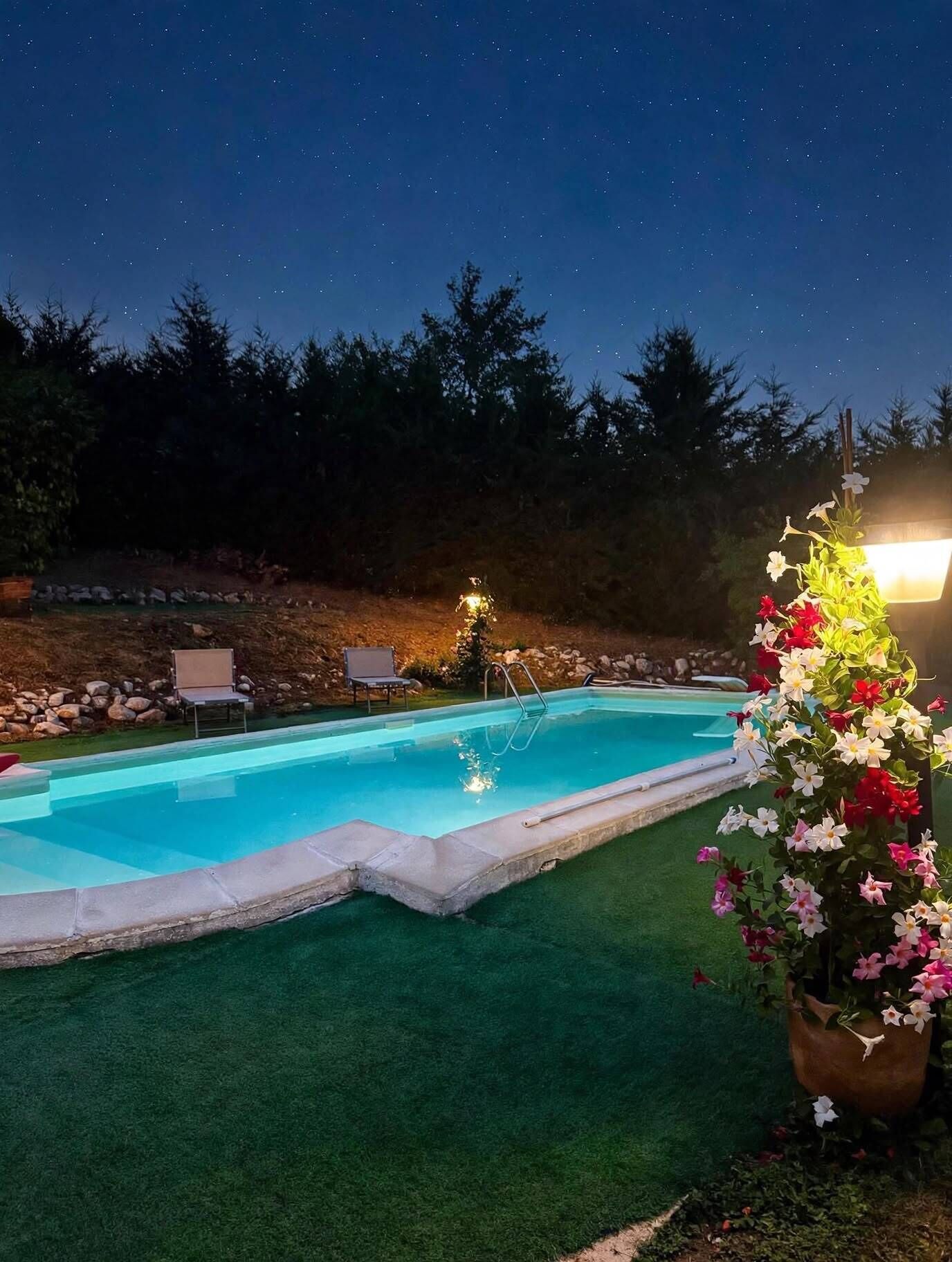 A swimming pool at night with a clear sky, surrounded by trees and a flower arrangement.