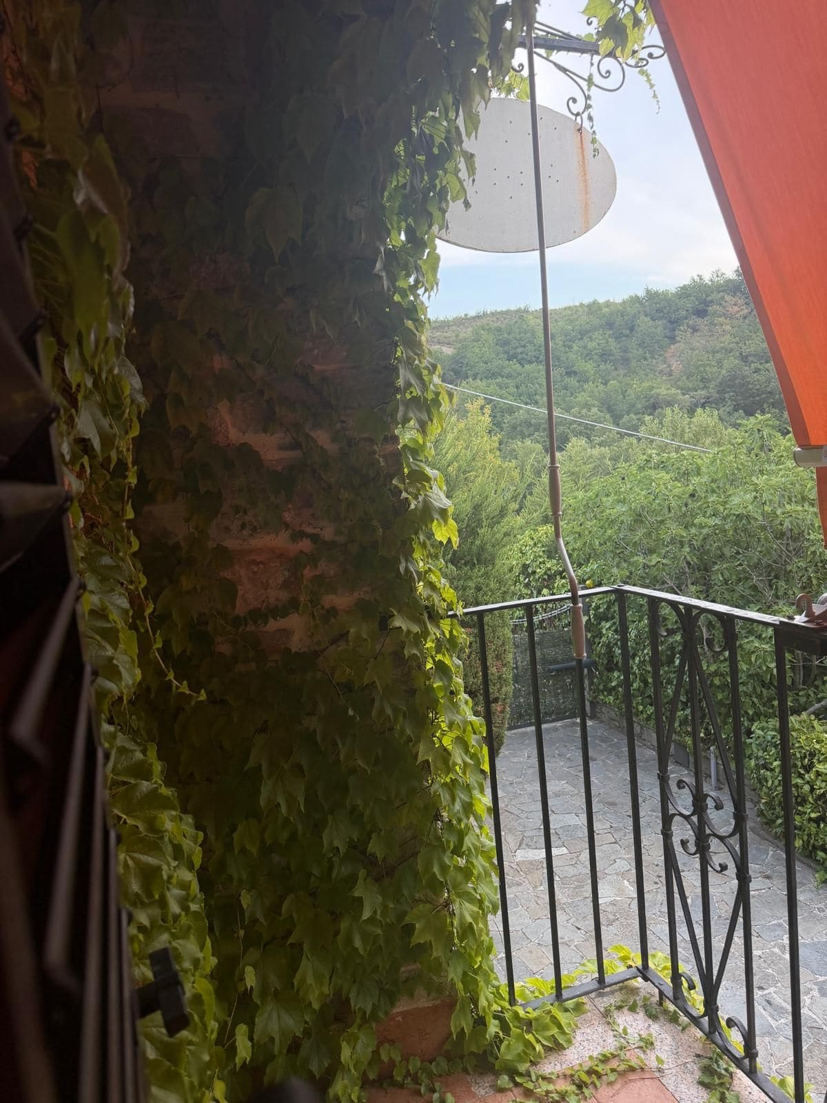 Un balcon avec une balustrade en métal, une vue sur un paysage verdoyant et un ciel dégagé.