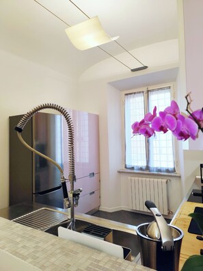 A modern kitchen with a stainless steel refrigerator, a sink with a flexible hose, a window with curtains, and a potted orchid. - Vatican Best Suite: 3-Bathroom Suite | Early Check-in | Free Luggage (Roma)