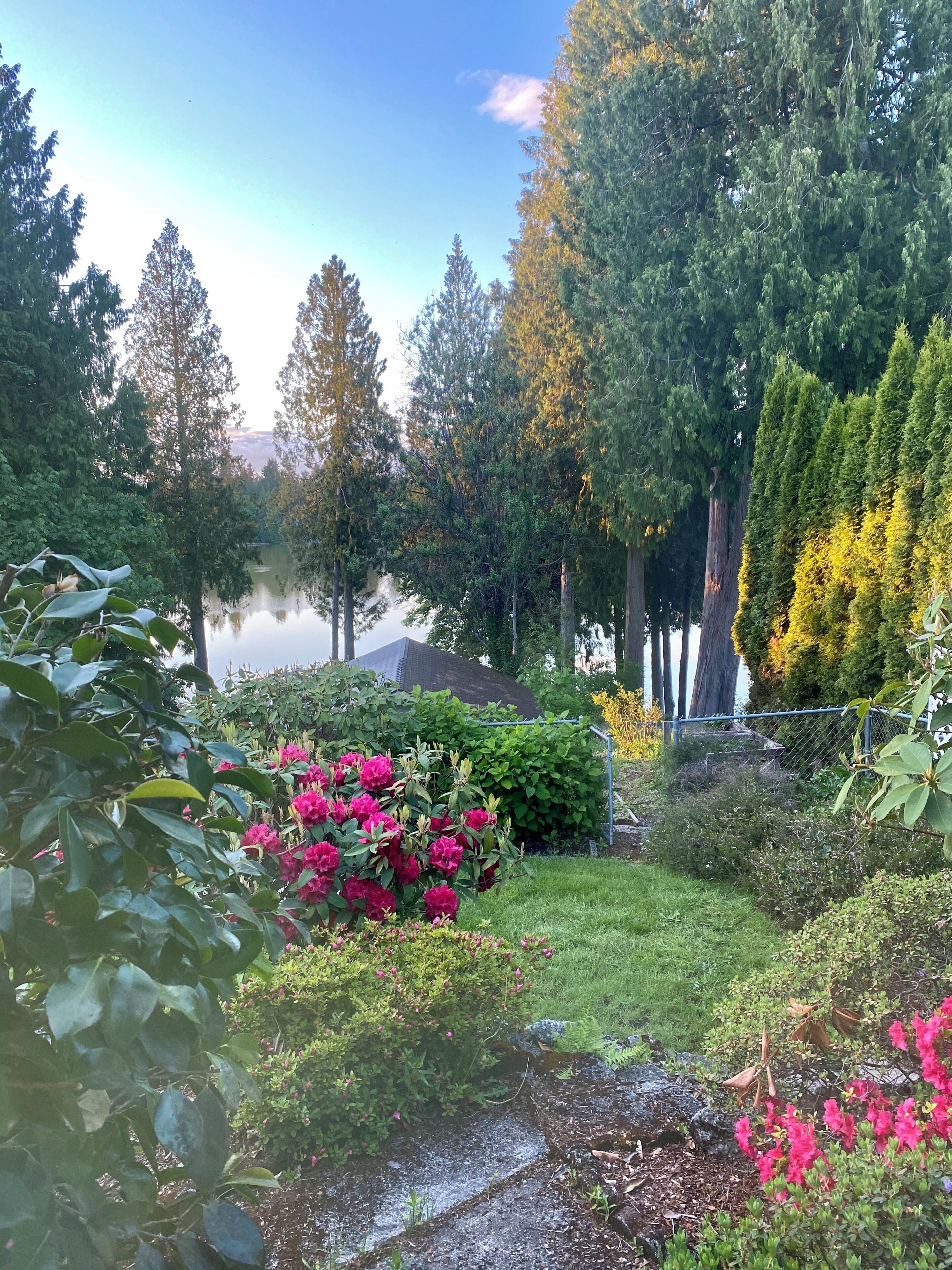 Een tuin met een vijver, omringd door bomen en bloeiende planten.