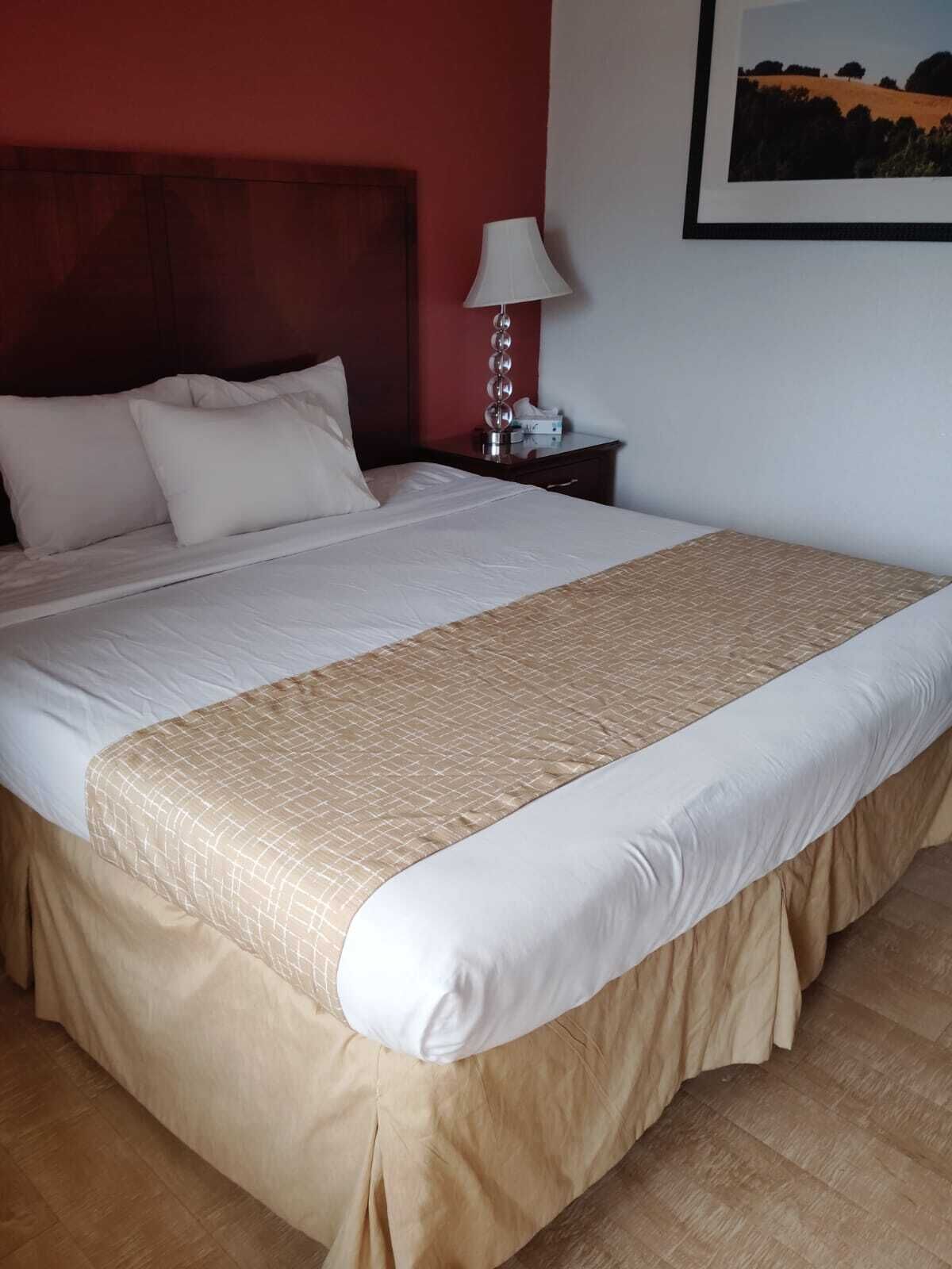 Iron/ironing board, free WiFi