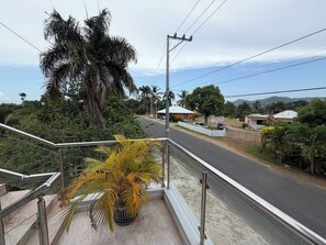 A residential street with a clear view of a house, a fenced yard, and a large palm tree.