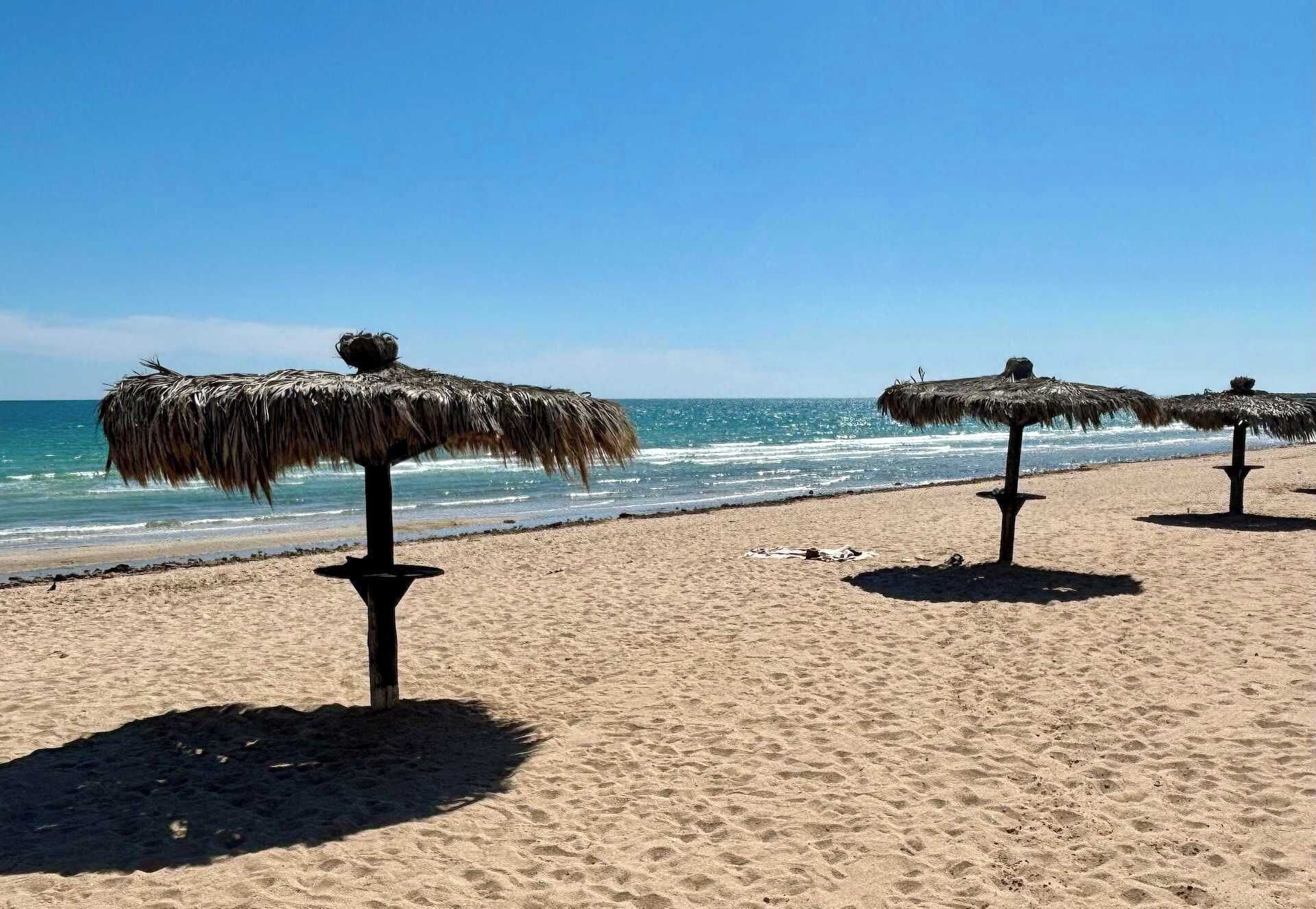 Une plage avec des parasols en chaume et un rivage sablonneux.