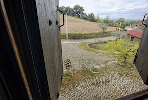 Blick aus einem Fenster auf einen Kopfsteinpflasterhof mit einem gepflasterten Weg, Grünflächen und eine entfernte Straße.