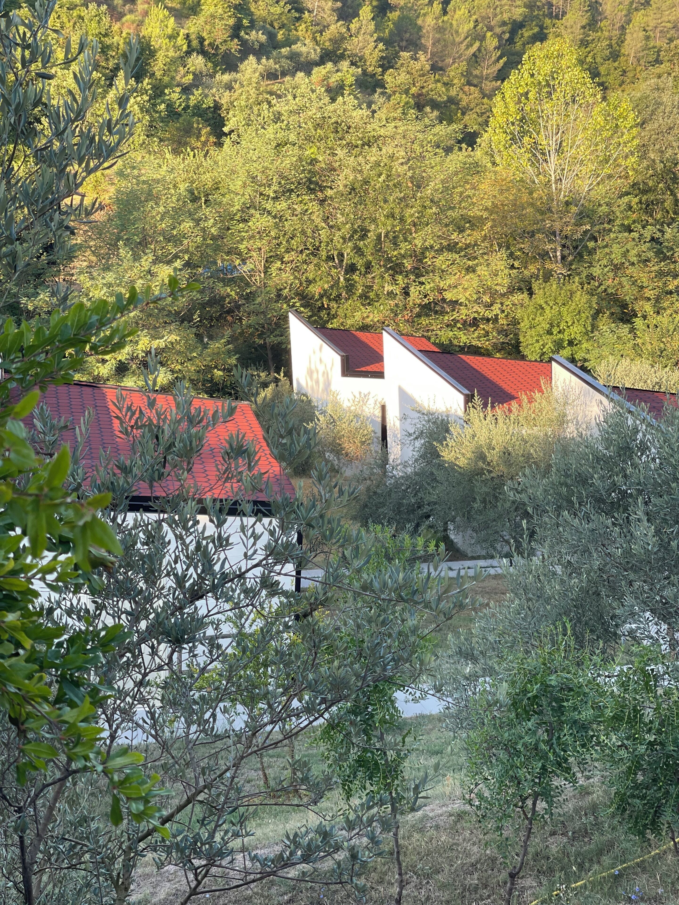 Un edificio con techo rojo rodeado de árboles.