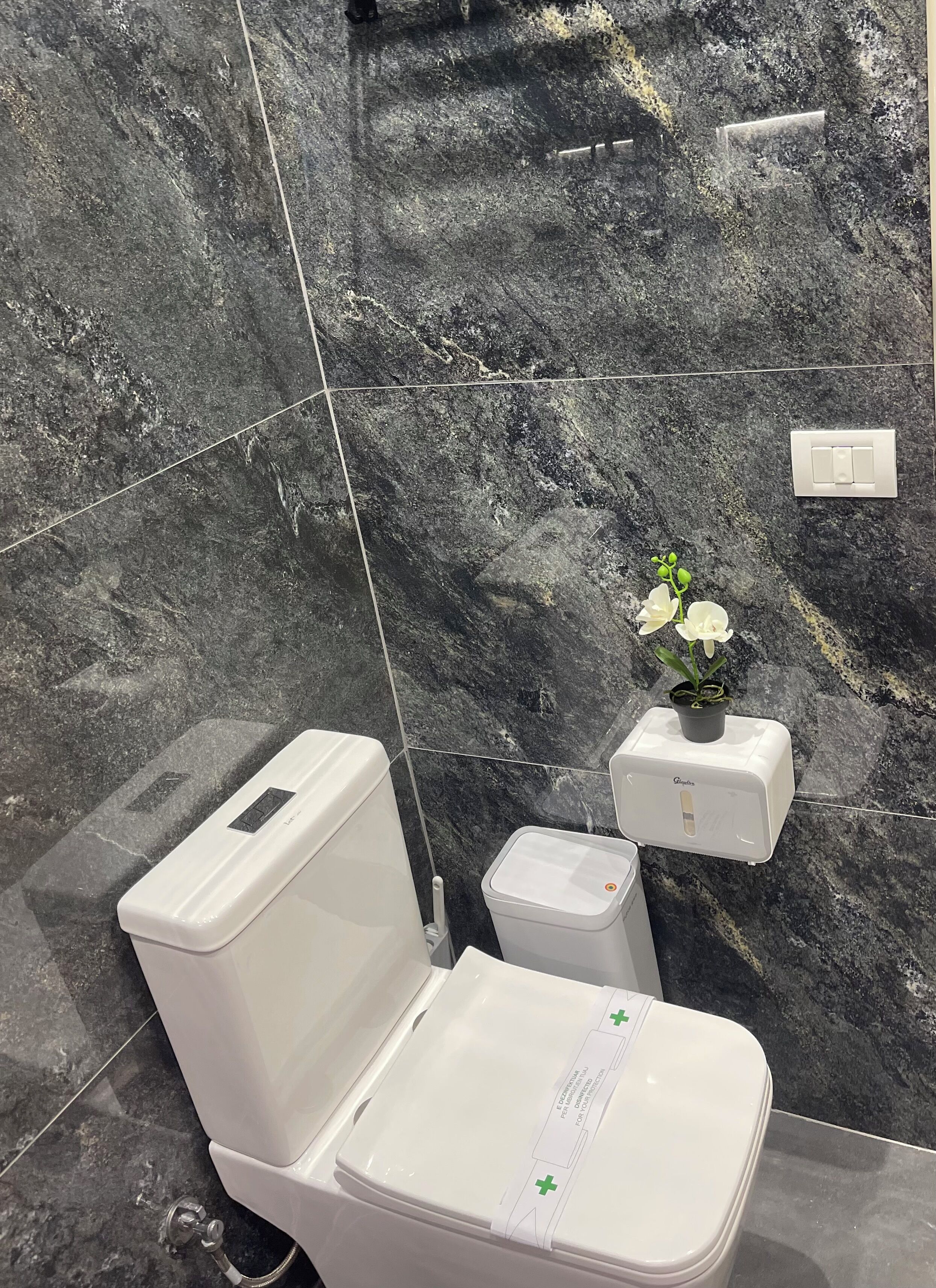 Un bagno moderno con il water, un bidet e un piccolo ripiano con una pianta in vaso.