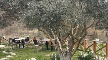An outdoor seating area with tables and chairs, surrounded by a garden with flowers and an olive tree.