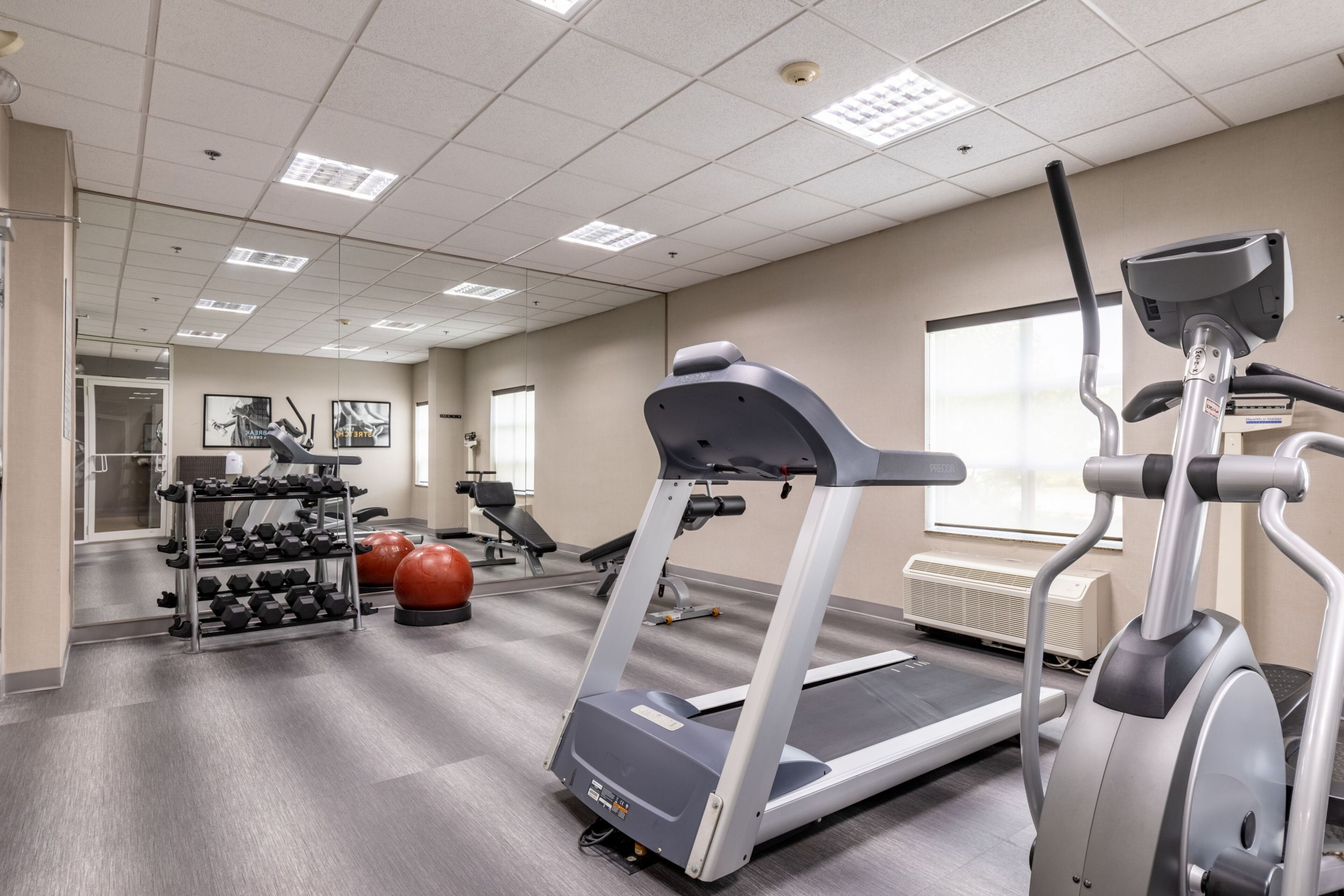 A gym with treadmills, dumbbells, and exercise balls.