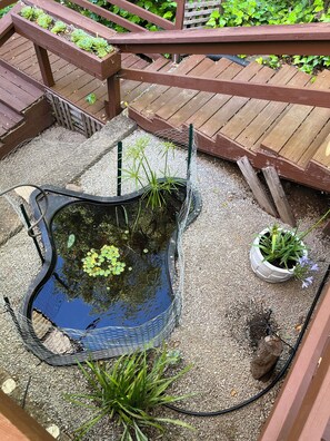 Property grounds - Your month-long stay on the Russian River in 3 bedroom sun-filled house (Monte Rio)