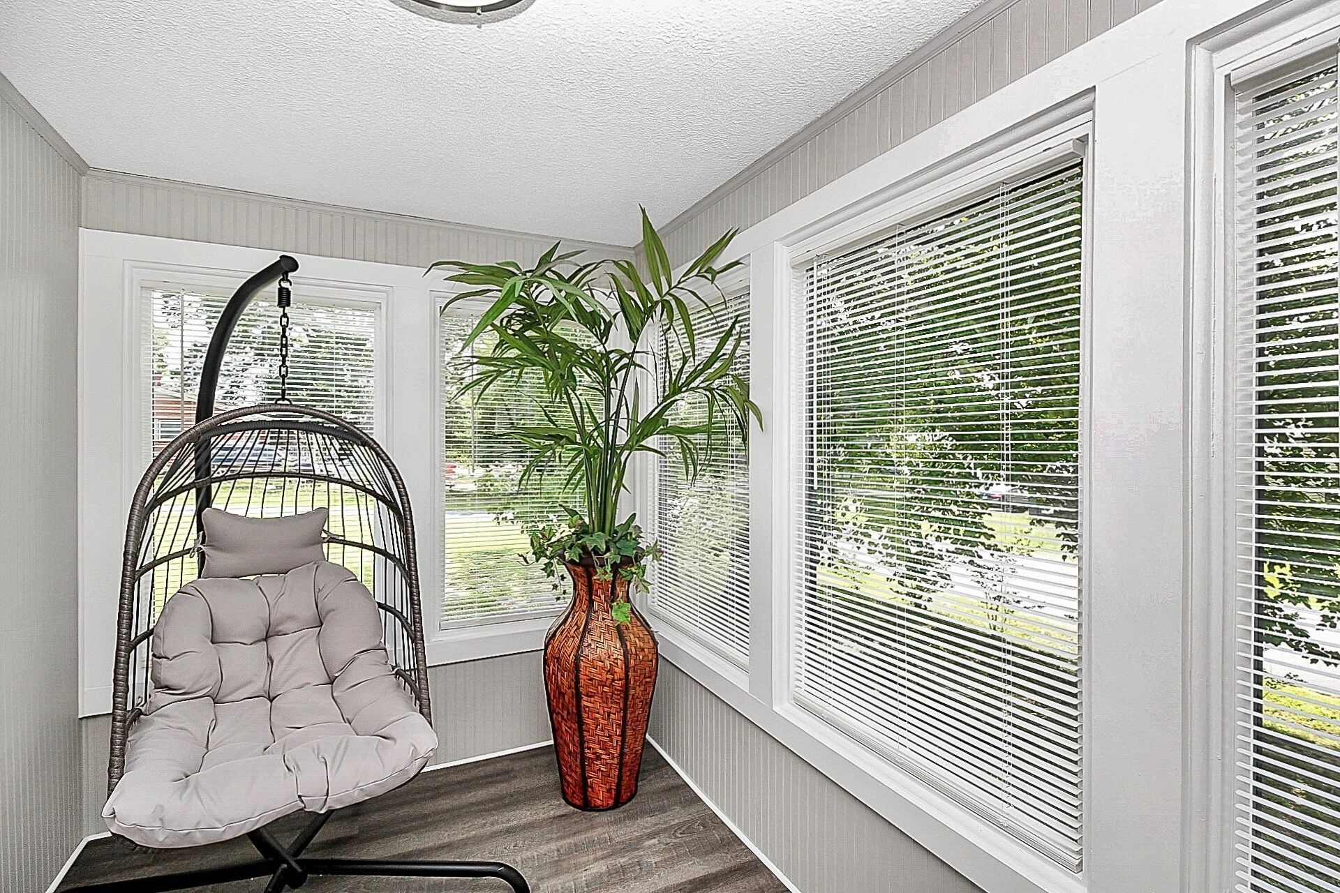 A room with a hanging chair, a large potted plant, and large windows with blinds.
