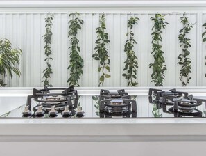 A kitchen with a gas stove and a row of hanging plants against a white wall. - 23 Lancelin Drive Mermaid Waters (Gold Coast)