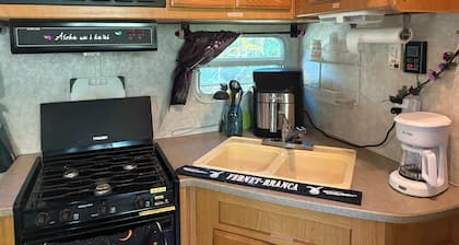 RV in a Rainforest Tree! - A True Jungle Experience with a super fun vibe!