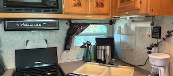 RV in a Rainforest Tree! - A True Jungle Experience with a super fun vibe!