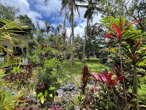 Un jardin tropical avec différentes espèces de plantes et une pelouse.