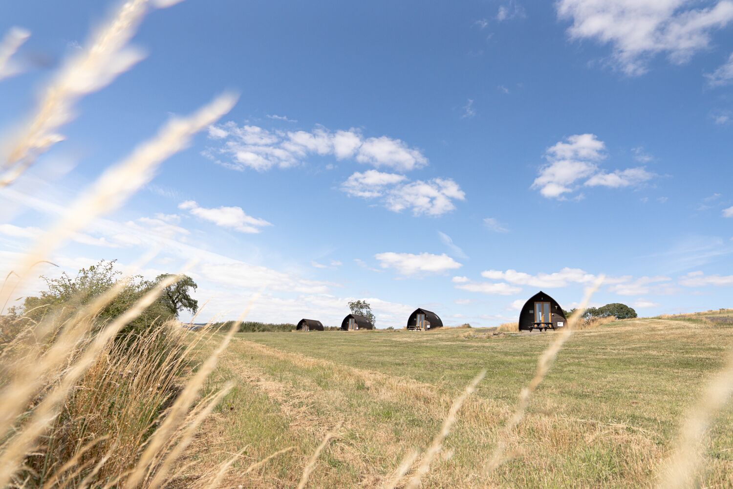 Paisagem rural com várias construções rústicas e campos abertos sob um céu claro.