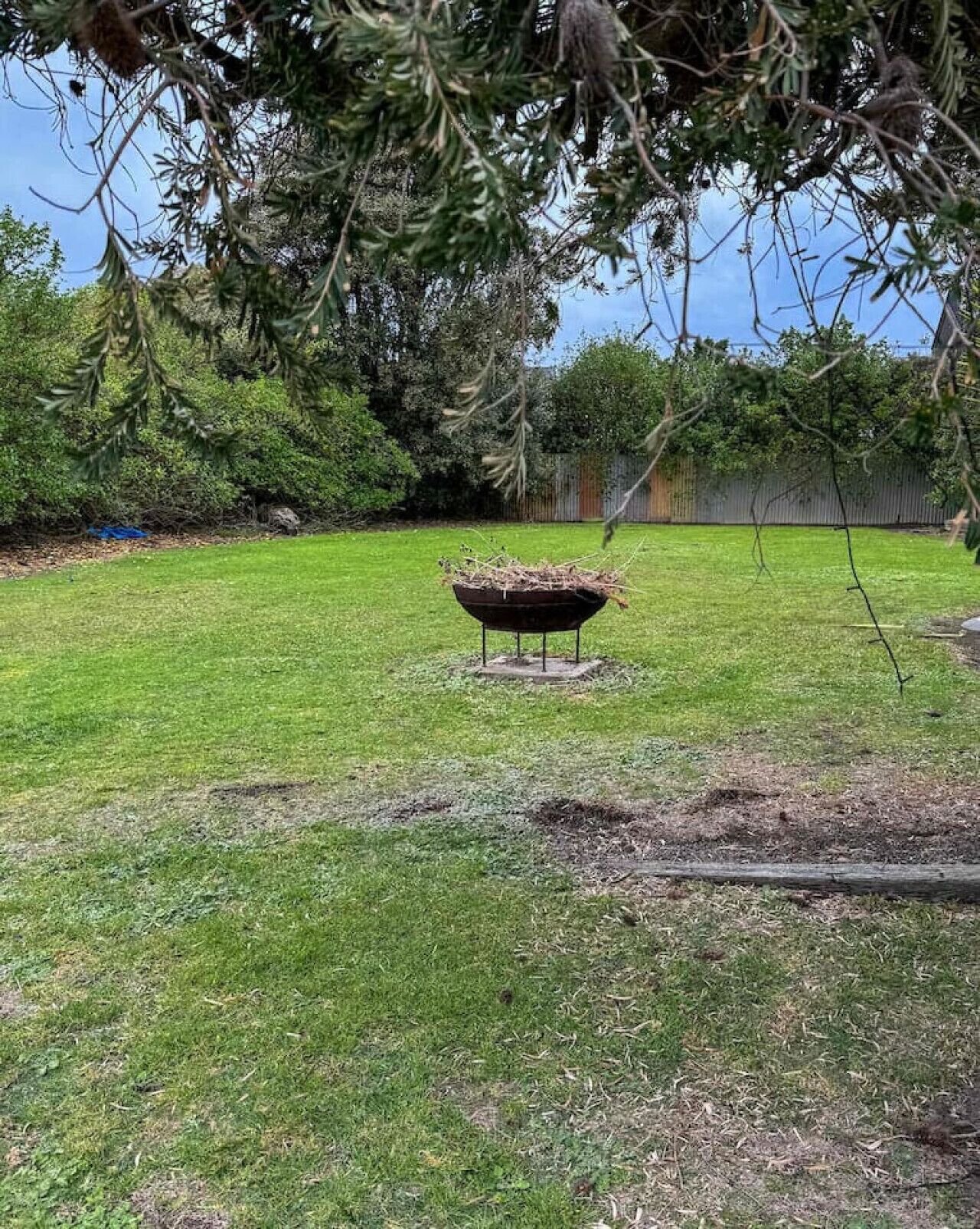 A backyard with a metal barbecue grill, a grassy lawn, and trees in the background.