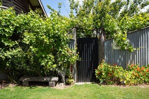 A fenced backyard with a wooden bench, a gate, and various plants. - Pixies at Ecobay Port Campbell (Port Campbell)