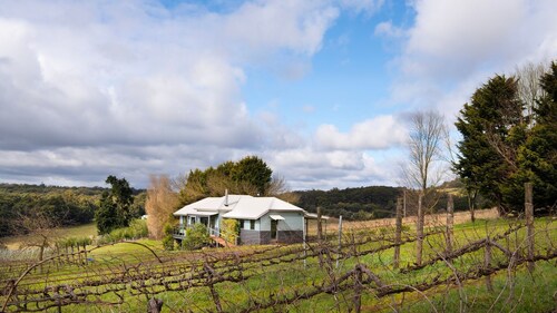 Vines and Views on Passing Clouds Winery