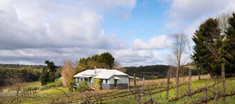 Vines and Views on Passing Clouds Winery