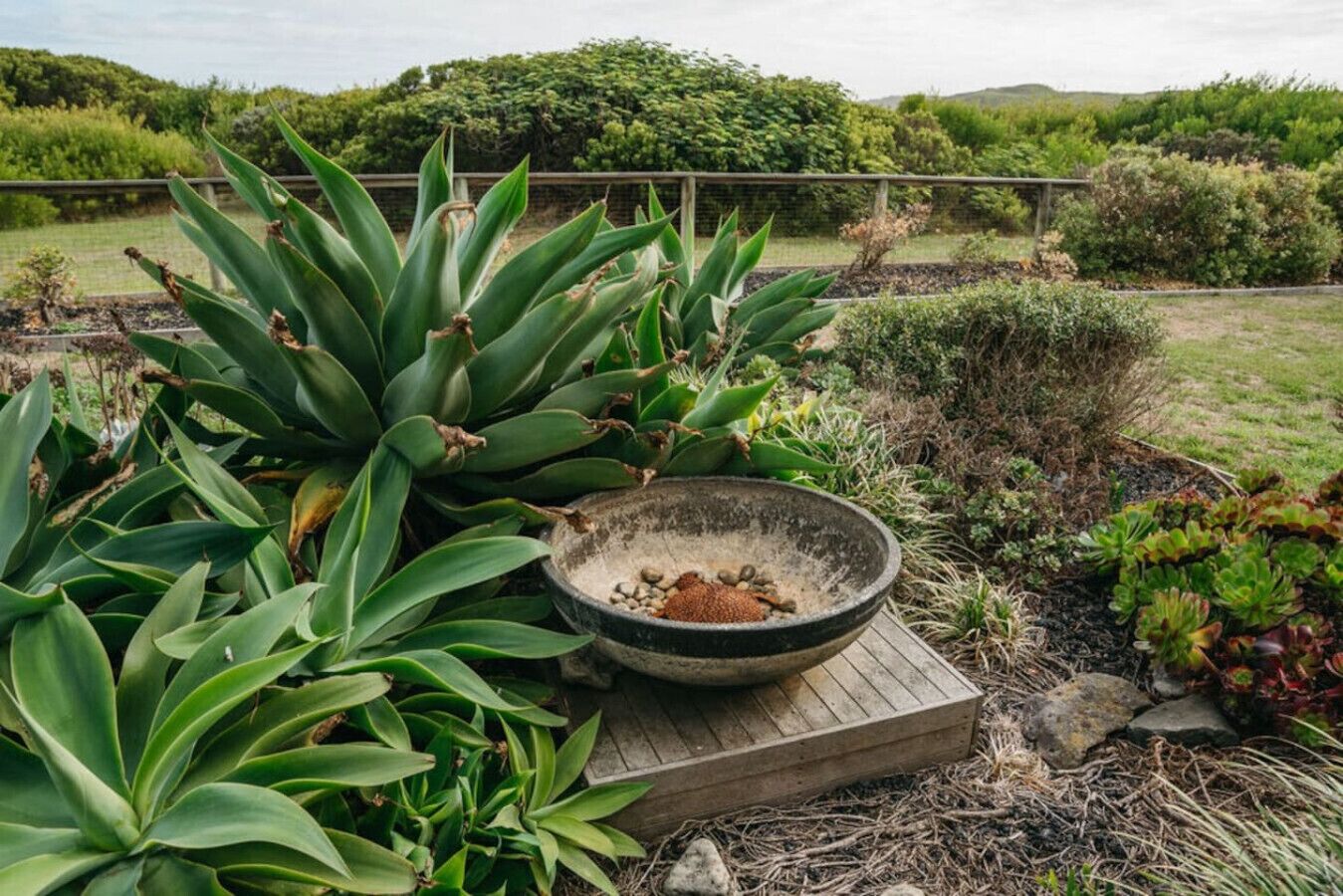 A garden with various plants and a stone bowl on a wooden platform.