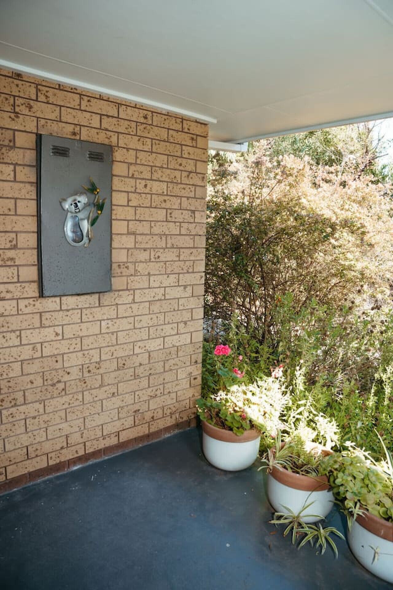 A brick wall with a metal panel featuring a koala and eucalyptus leaves. There are potted plants with green foliage and a pink flower.