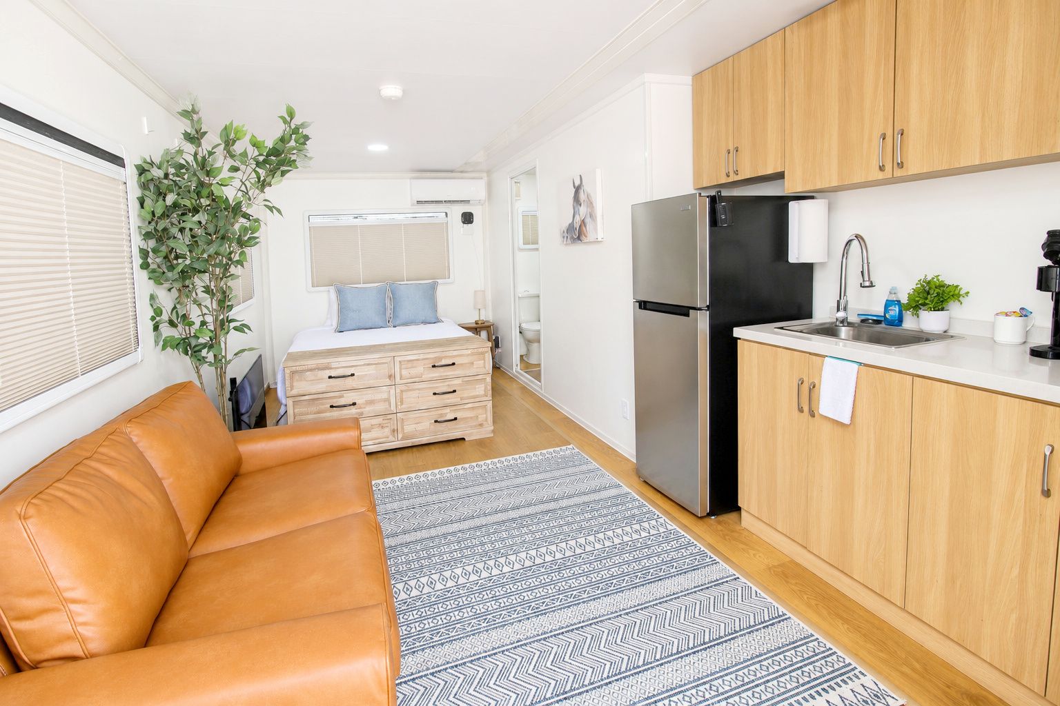 A compact living space with a kitchenette, a sofa, a patterned rug, and a potted plant.