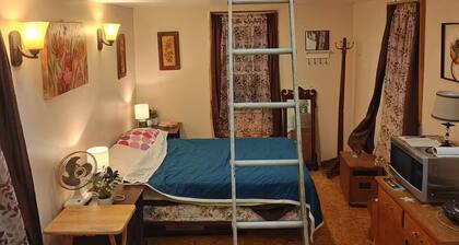 Charming 1-bedroom cabin with AC in cozy Abingdon