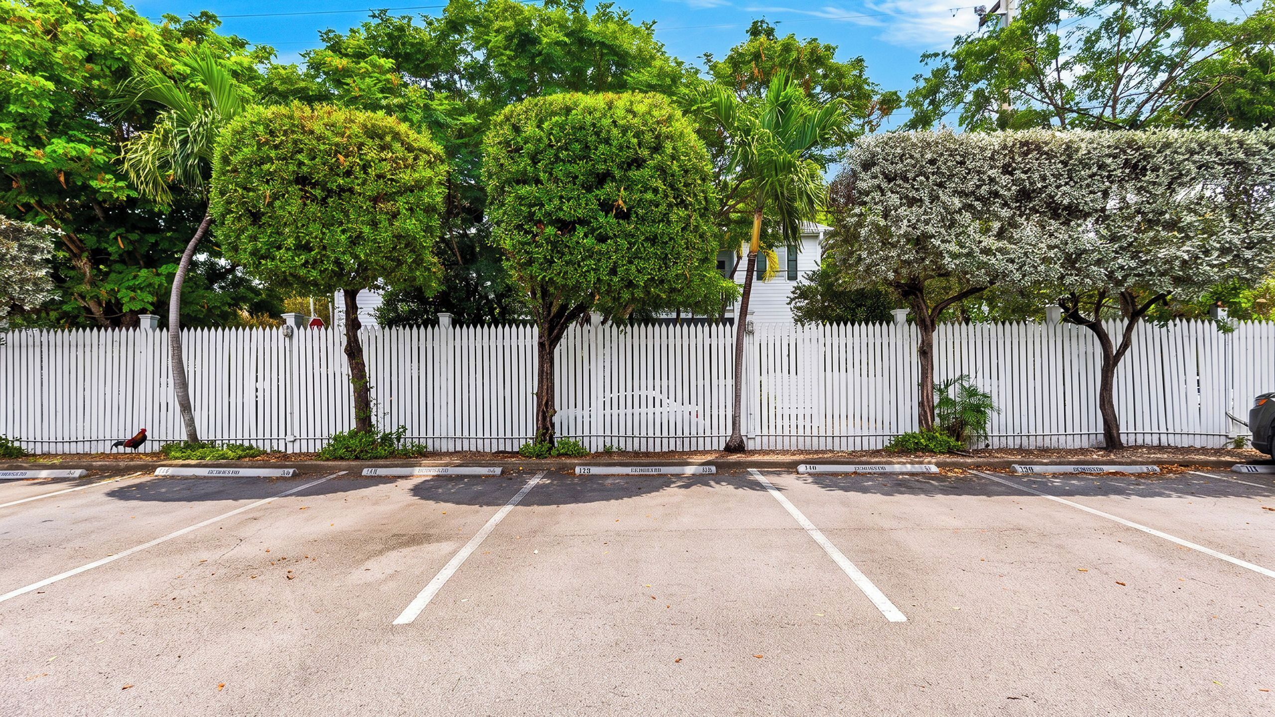 Een parkeerplaats met witte hekken en bomen.