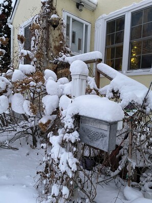 Ein mit Schnee bedeckter Briefkasten, umgeben von schneebedeckter Bepflanzung und einem Haus mit Fenstern.