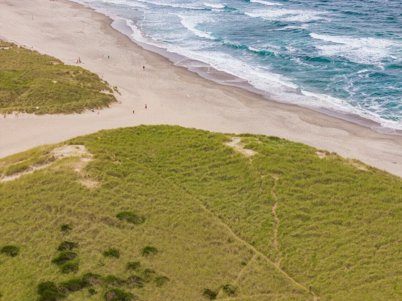 Uma praia com área gramada e faixa de areia.