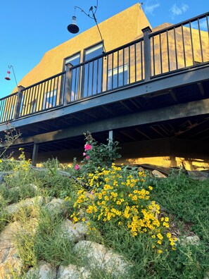 A balcony with a railing, a window, and a flower bed with yellow flowers.