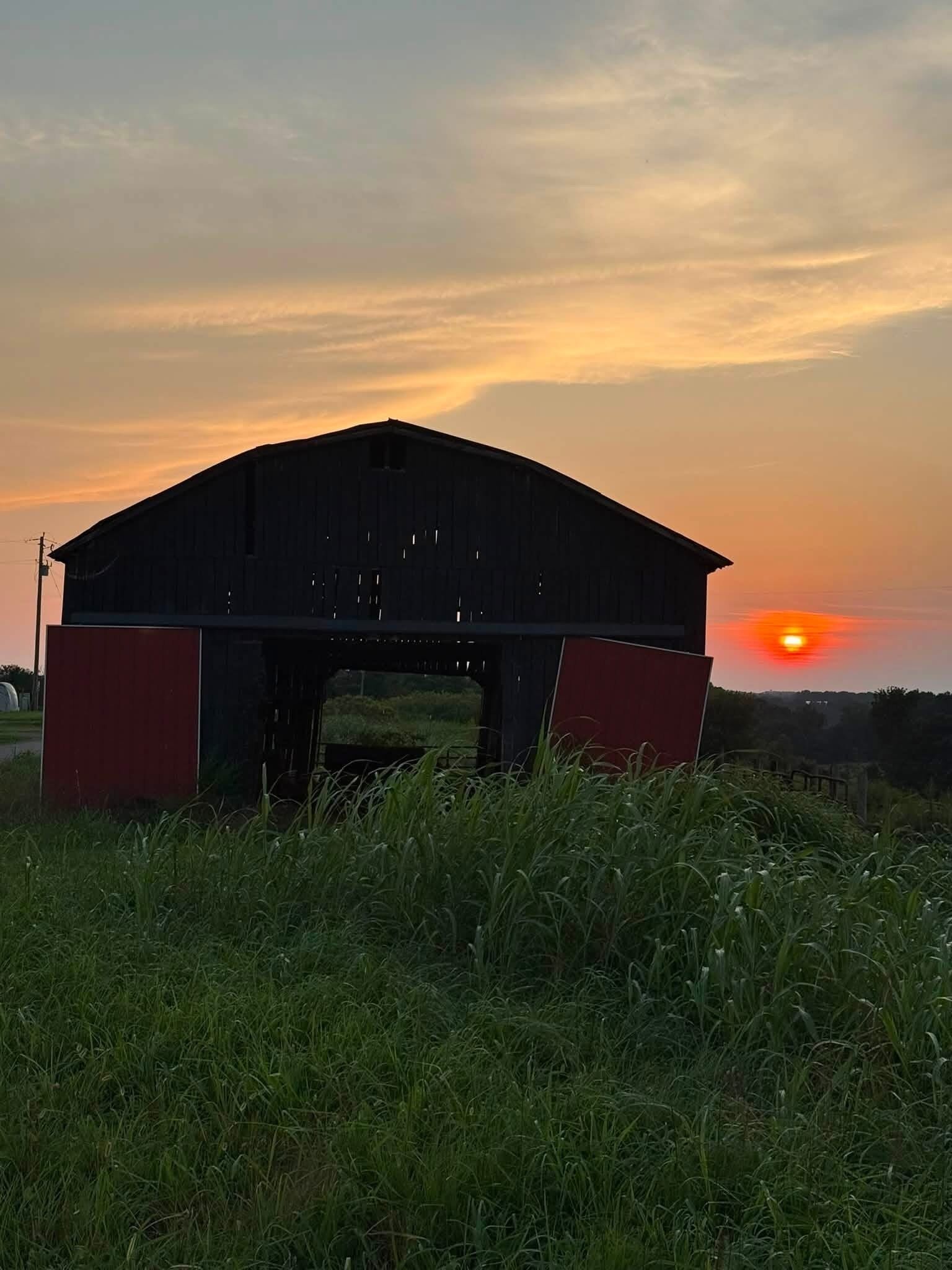 A barn with a red base and a dark roof, surrounded by tall grass.