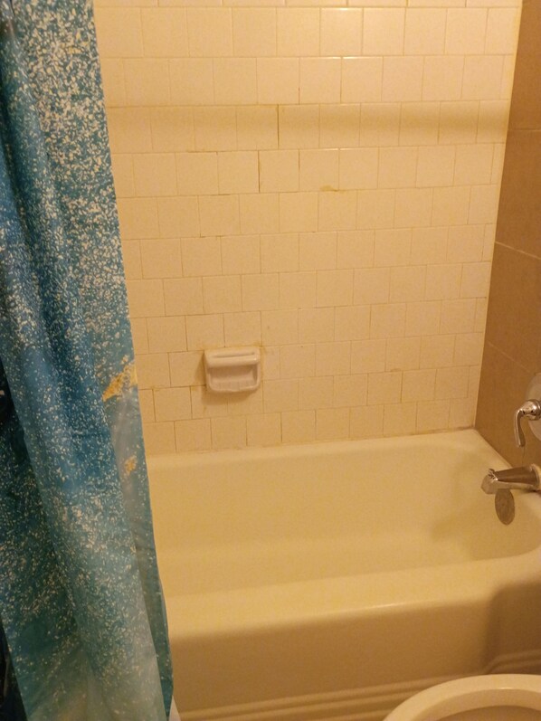 Bathroom - SHARED SPACE AIRBED EDITION (Phoenix)