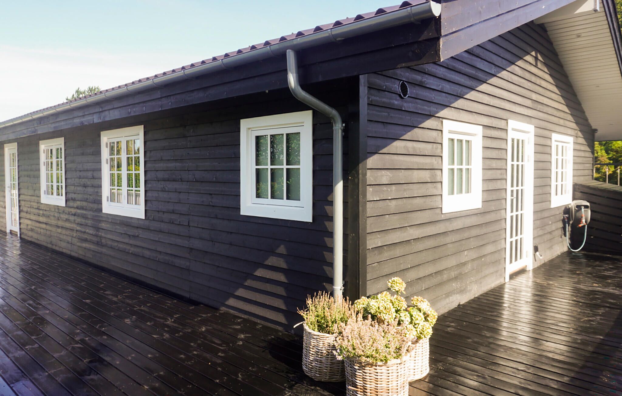 Eksteriør