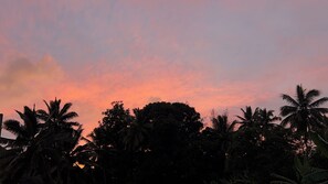 Ein Sonnenuntergang mit rosa Himmel und Palmendachsilhouetten.